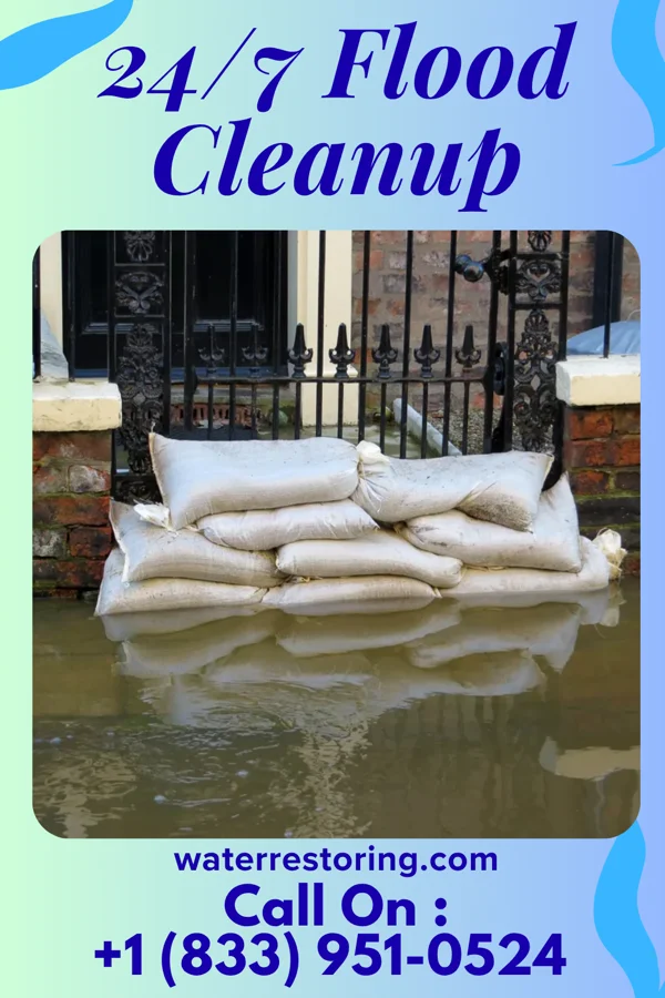 24/7 Flood Cleanup in Belmont Estates, VA
