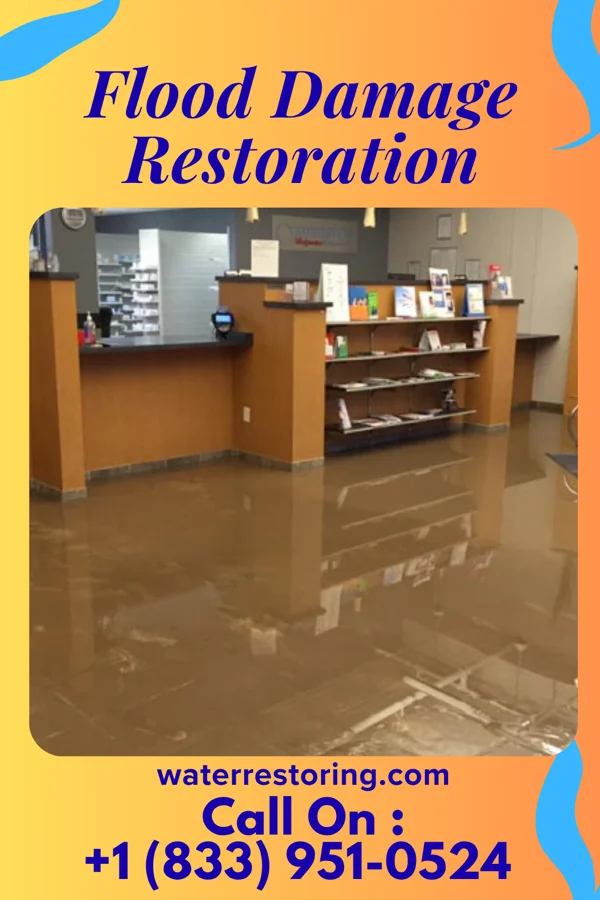 Flood Damage Restoration in Belmont Estates, VA