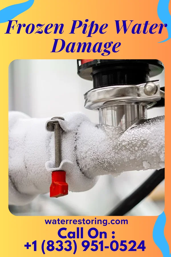 Frozen Pipe Water Damage in Belmont Estates, VA