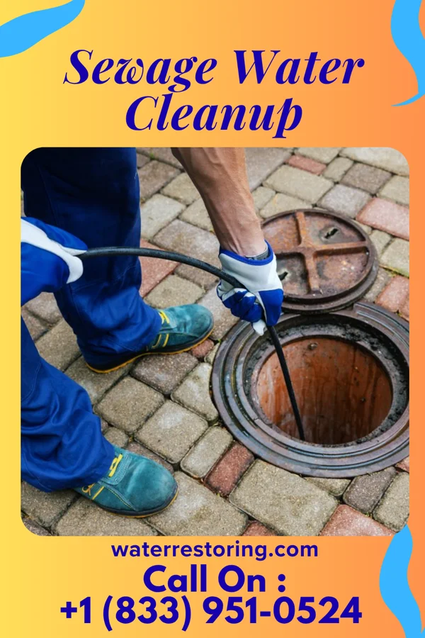 Sewage Water Cleanup in Belmont Estates, VA