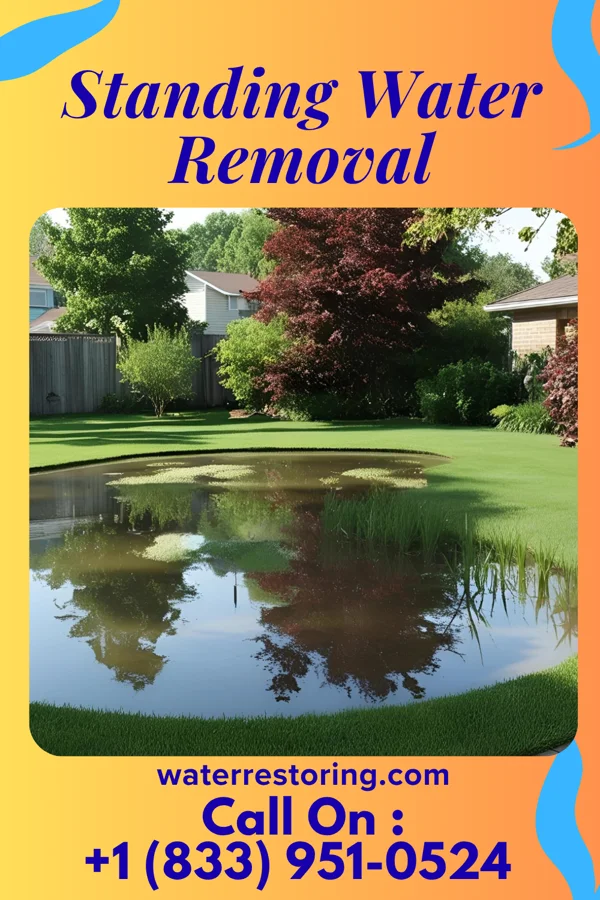 Standing Water Removal in Belmont Estates, VA